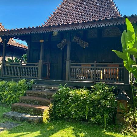 Alas Arum Ecolodge Selemadeg 외부 사진